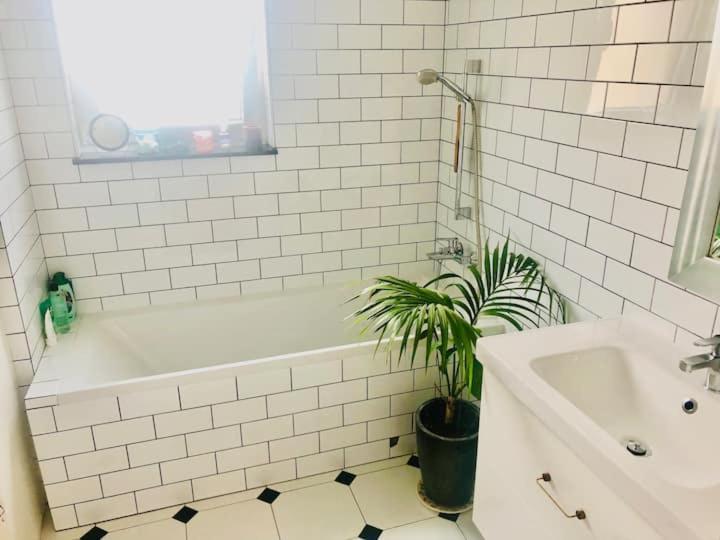 Stylowy Apartament W Centrum Miasta Bydgoszcz Buitenkant foto